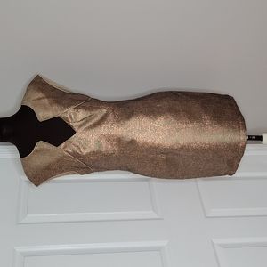Ladakh Womans Copper & Gold Metallic Cocktail dress, Size 8